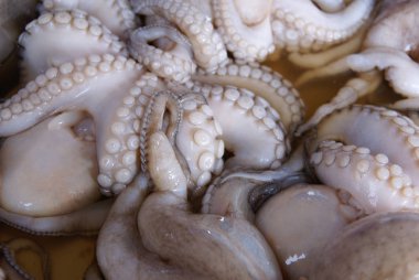 Balık pazarında ahtapot