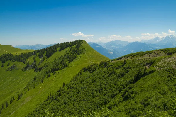 Prachtige Zomer Landschap Met Bloemen Blauwe Hemel Franse Alpen Regio — Stockfoto