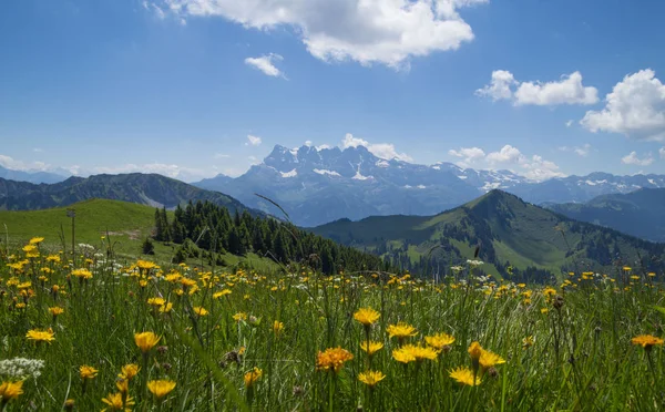 Fransız Alpleri, Rhone çiçek ve mavi gökyüzü ile güzel yaz manzara - Alpes bölgesi