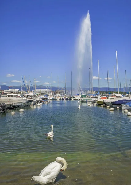 Famoso Jet Eau Fontana Acqua Sul Lago Ginevra Ginevra Svizzera — Foto Stock