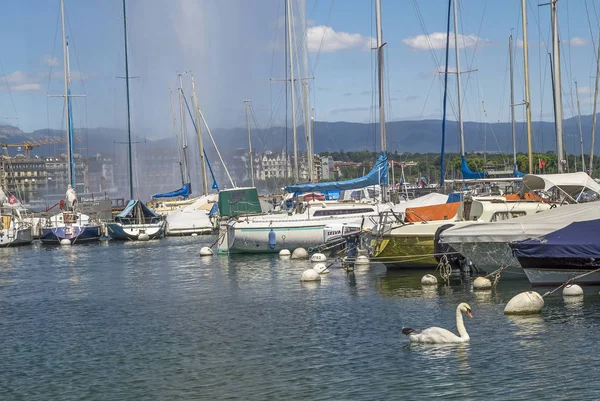 Genf Schweiz Juli 2015 Sommer Genfer See Leman Hafen Von — Stockfoto