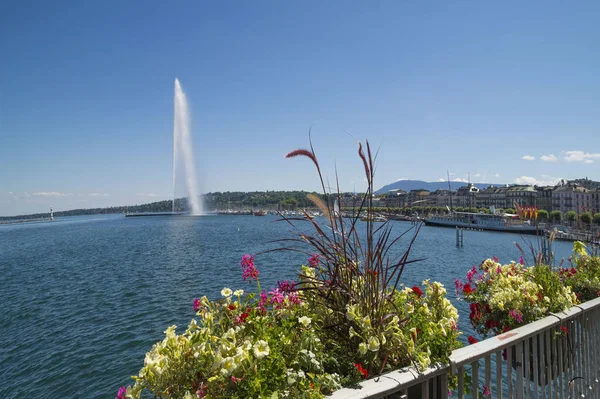 Genf Schweiz Juli 2015 Schöner Sommertag Ufer Des Genfer Sees — Stockfoto