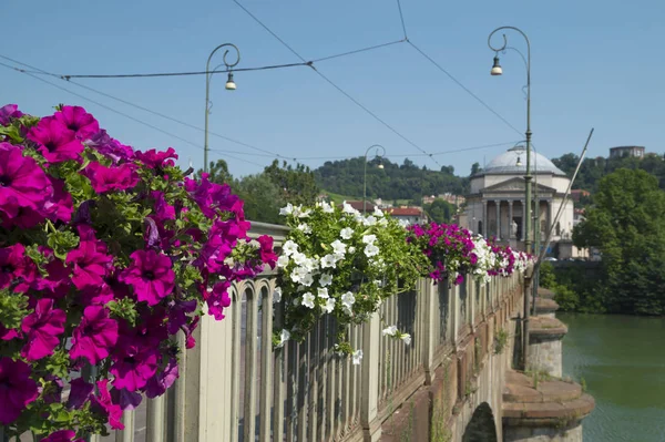 Красивые Цветы Мосту Через Реку Турине Италия — стоковое фото