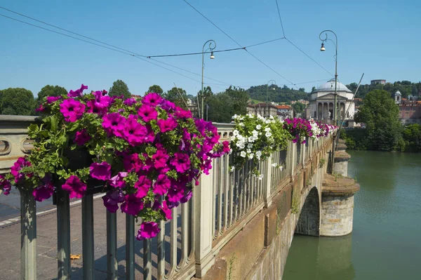 Красивые Цветы Мосту Через Реку Турине Италия — стоковое фото