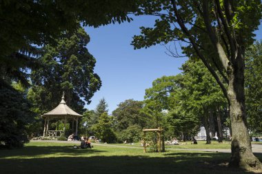 Yazın güneşli bir günde park manzarası