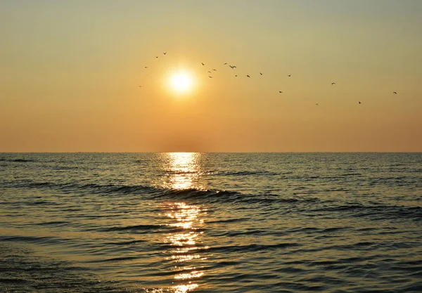 Восход Солнца Пустом Пляже — стоковое фото
