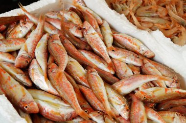 Taze balık ve deniz ürünleri ile tipik açık İtalyan Balık pazarı  