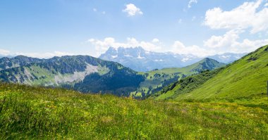 SAALBACH-HINGLEMM, AUSTRIA - 2 Temmuz 2014. Avusturya manzarası, Alp Dağları 'ndaki çayır.