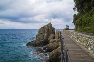 Portofino, İtalya'da Akdeniz kıyısında fırtınalı hava ile Doğa manzara
