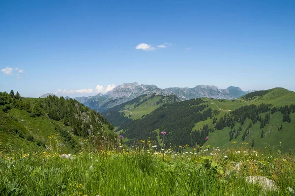 Paisaje Verano Los Alpes Portes Soleil Francia Suiza Juntos — Foto de Stock