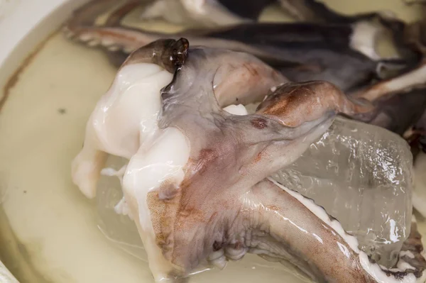 Mercado Peixe Italiano Livre Típico Com Peixe Fresco Frutos Mar — Fotografia de Stock