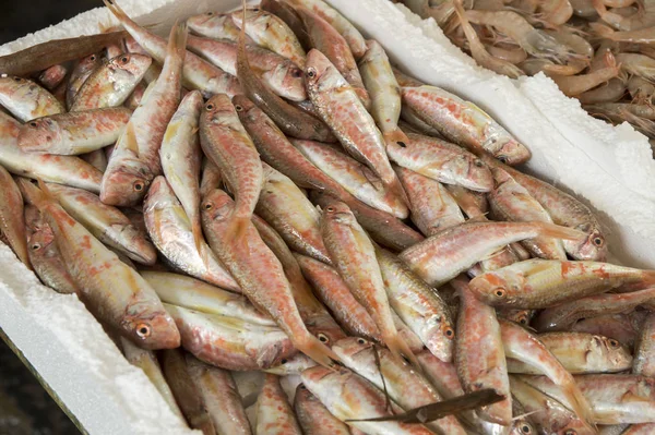 Typical outdoor Italian fish market with fresh fish and seafood