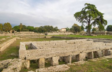 Paestum Sonbahar akşamı - Unesco Dünya Mirası Alanı, dünyanın en iyi korunmuş antik Yunan tapınakları bazı, İtalya.