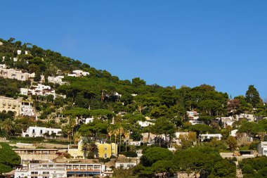Renkli köy Corniglia, Cinque Terre bölgesi, La Spezia, İtalya görünümü. Üzüm bağları ve Akdeniz. 