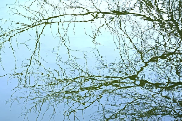Hladina Vody Zimě Přírodní Abstraktní Pozadí Odraz Stromu Vodě — Stock fotografie