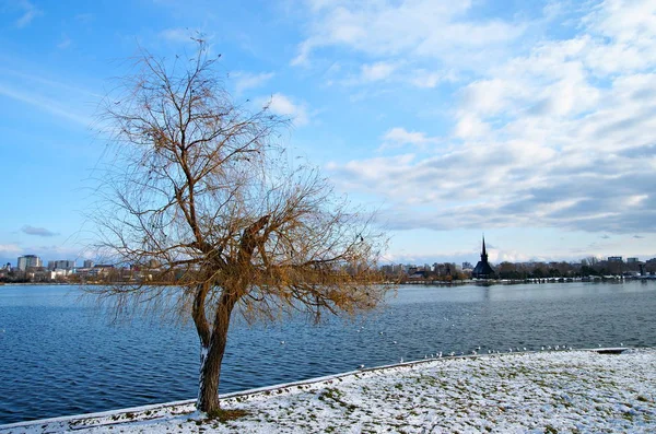 Constanta Rumania Diciembre 2014 Paisaje Frío Silencioso Invierno Lago Tabacarie — Foto de Stock