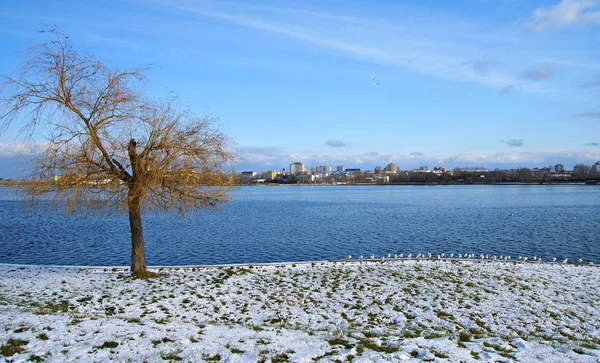 Constanta Romania Dicembre 2014 Paesaggio Freddo Silenzioso Inverno Sul Lago — Foto Stock