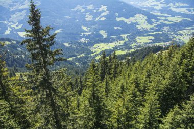 Alpler Dağları güzel manzara, Westendorf köyü üzerinde, Tirol, Avusturya