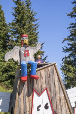 Çatıdaki tahta kartal heykeli.