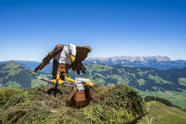 Westendorf Tirol Österreich August 2016 Alpinolino Discovery Park Über Das — Stockfoto