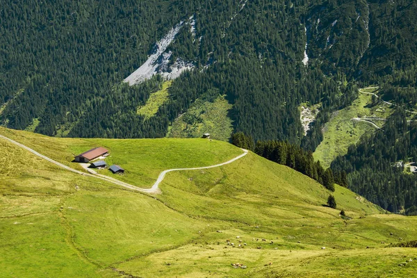 Piękna Dolina Brixen Alpy Kitzbuhel Tyrol Austria — Zdjęcie stockowe