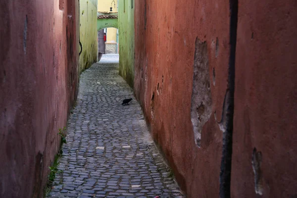 Brasov Romanya Mayıs 2018 Rope Street Benzersiz Bir Atmosfer Brasov — Stok fotoğraf