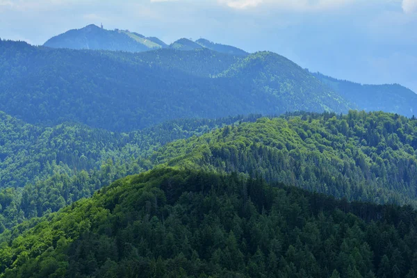 Paisaje Colorido Montaña Tampa Brasov Rumania — Foto de Stock