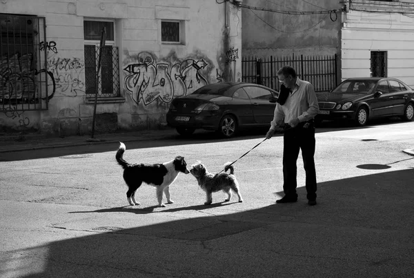 Bucharest Rumania Abril 2018 Estilo Vida Las Calles Bucarest Atracción —  Fotos de Stock