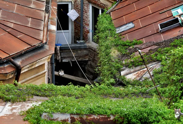 Bükreş, Romanya-Nisan, 2018. Bükreş sokaklarında Lifestyle, Romanya 'da turist cazibe. Zafer Caddesi.  