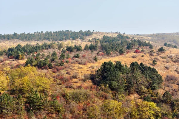 Herfst Landschap Landschap Met Groene Bomen Natuurreservaat Van Monding Van — Stockfoto
