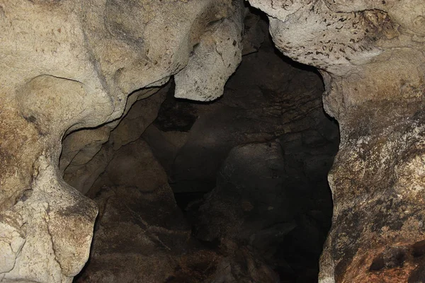 Galerijen Van Grot Van Vleermuizen Ook Wel Monding Van Dobrogea — Stockfoto