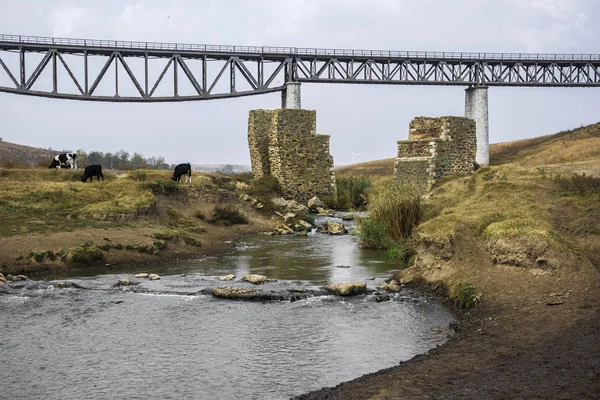 Spoorbrug Tussen Medgidia Tulcea Casimcea Stroom Dobrogea Land Roemenië — Stockfoto