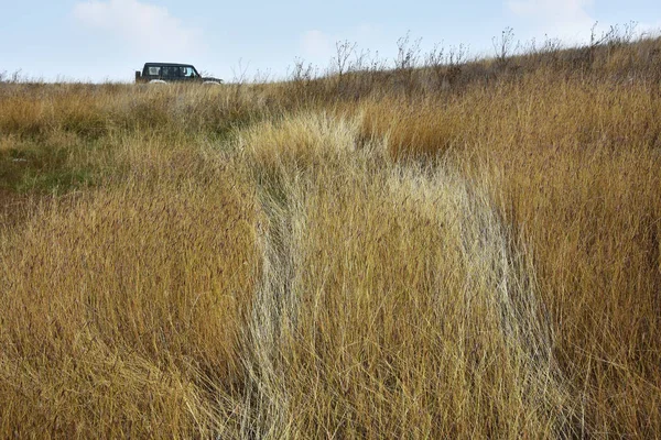 Targusor Dobrogea Romania Oktober 2018 Erholung Und Road Trip Dobrogea — Stockfoto