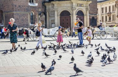 Krakow, Polonya - 1 Eylül 2016. İnsanlar ve güvercinler, Rynek Glowny turistler cazibe, Krakow Eski şehir Ana Pazar Meydanı, Polonya.