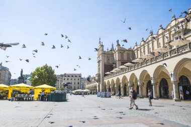 Krakow, Polonya - 1 Eylül 2016. İnsanlar ve güvercinler, Rynek Glowny turistler cazibe, Krakow Eski şehir Ana Pazar Meydanı, Polonya.