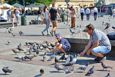 Krakow, Polonya - 1 Eylül 2016. İnsanlar ve güvercinler, Rynek Glowny turistler cazibe, Krakow Eski şehir Ana Pazar Meydanı, Polonya.