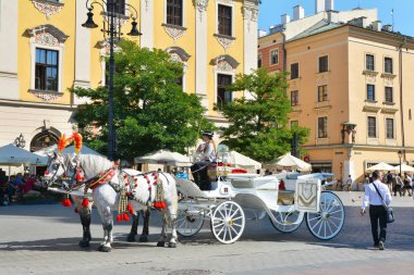 Krakow, Polonya - 1 Eylül 2016. Krakw ana pazar meydanında şehir gezi turları için at arabası (Rynek). Burada şehir herhangi bir tur için başlangıç ve bitiş noktası.