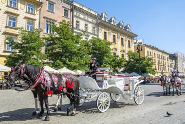 Krakow, Polonya - 1 Eylül 2016. Şehir gezileri Turları Krakow ana market Square (Rynek) at arabası. Burada başlangıç ve bitiş noktası şehrin herhangi bir tur için. 