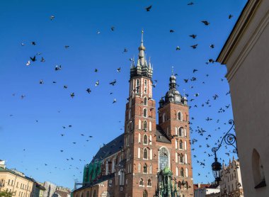 Krakow, Polonya - 1 Eylül 2016. Saint Marys Kilisesi ve Rynek Glowny, Krakov Pazar Ana Meydanı, Polonya, Avrupa 