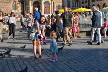 Krakow, Polonya - 1 Eylül 2016. İnsanlar ve güvercinler, Rynek Glowny turistler cazibe, Krakow Eski şehir Ana Pazar Meydanı, Polonya. 