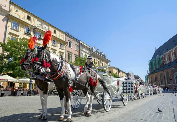 Krakow, Polonya - 1 Eylül 2016. Eski şehrin turistlerin cazibe Krakow.Horse taşıma Krakw'ın ana Pazar Meydanı'nda şehir gezileri Turları