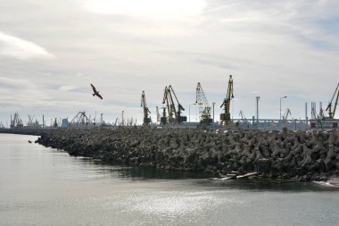 Avrupa kenti limanında turnalar