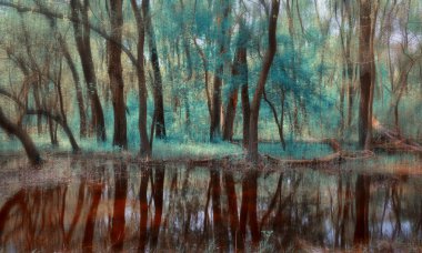 Tuna Deltası'ndaki Muhteşem Letea Ormanı, Romanya. Yaratıcı görüntü.