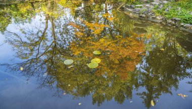 Sonbaharda ağaçlarla su yansıması