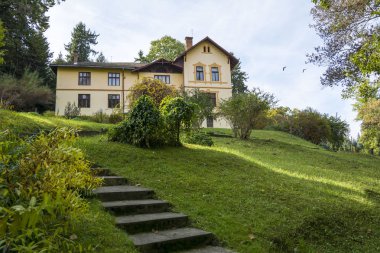 Sonbaharda Cluj Botanik Bahçe, Transilvanya, Romanya 