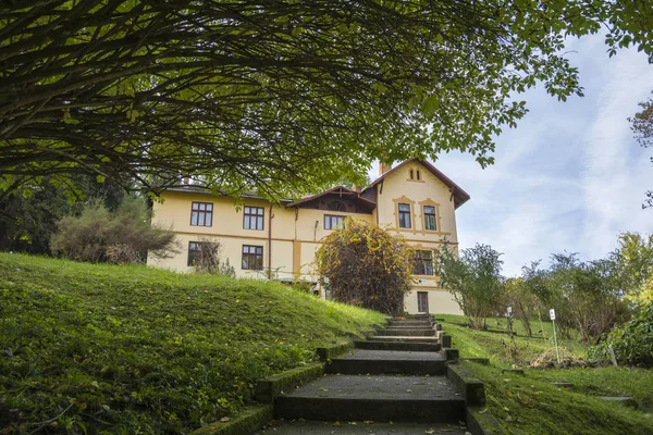 Podzim Botanické Zahradě Cluj Sedmihradsko Rumunsko — Stock fotografie