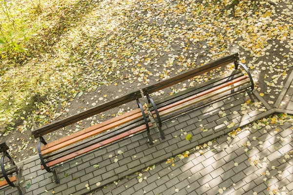 Otoño Jardín Botánico Cluj Transilvania Rumania — Foto de Stock