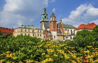 Güzel gezi Wawel Royal Castle ve renkli çiçeklerle, Krakow, Polonya 