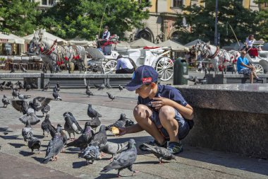 Krakow, Polonya - 1 Eylül 2016. İnsanlar ve güvercinler, Rynek Glowny turistler cazibe, Krakow Eski şehir Ana Pazar Meydanı, Polonya.
