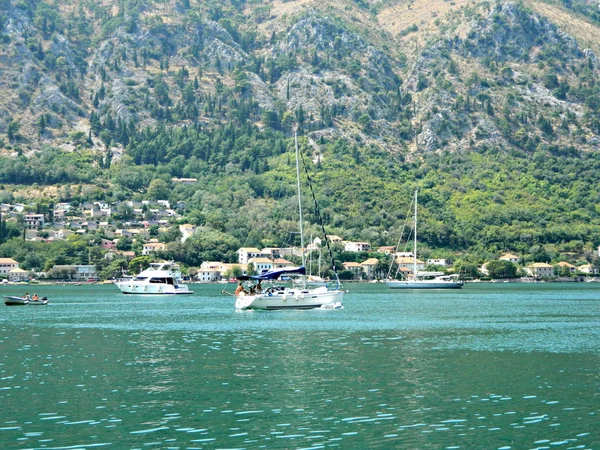 Kotor Montenegro Augusti 2013 Panorama Över Adriatiska Havet Kotor Bay — Stockfoto